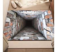 zoocco 3D Optical Illusion Rug That Looks Like a Hole, Realistic Vortex Hole Rug for Home Décor, Funny Prank, Non-Slip 3D Area Rugs for Living Room, Bedroom, Entryway, Parties (II,50 * 80cm)