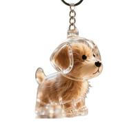 zoocco Dog Hair Keychain, Reusable Transparent Pet Fur Keepsake, Holds Fur & Ashes Pup Memory Capsule Keychain for Dog Lovers (A)