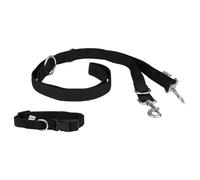 zoofari® Collar para perro con correa / correa de adiestramiento (Halsband S und Hundeleine)