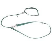 ZOOFARI® Set de collar y correa para perro grande (Verde, M)