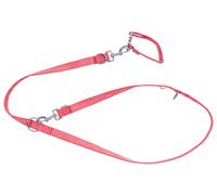 ZOOFARI® Set de collar y correa para perro pequeño (rojo, S)