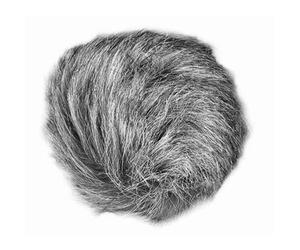 Zoom Parabrisas WSU-1