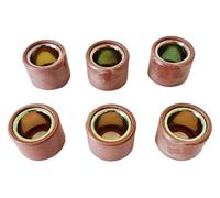 Zorlun 6 rodillos de variador 21 x 17 mm y 13,8 g, compatibles con Scarabeo 300, Leonardo, Beverly, MP3300, GTS, Touring, kit CVT