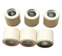 Zorlun 6 rodillos de variador primario 25 x 22 mm y 16 g, compatibles con RV250, CityCom300i, Joymax300, GTS300, Quadlander250 Quadlander300. Kit poleas for scooter