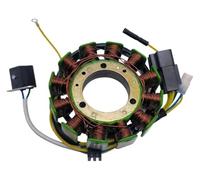 Zorlun Bobina del estator generador de Magneto Compatible con Motores J500, Jaguar500, Panda500, Stels500K GT 500 CC. Reemplaza 192MR-1001410, LU018347