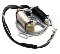 Zorlun Placa de estator Magneto Bobina Bipolar Compatible con Motor Scooter D1E41QMB TB50 TB60