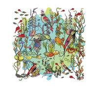 Zorn John - Dreamers-the Gentle Side [Vinilo]