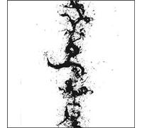 Zorn,John - The True Discoveries of Witches and Demons