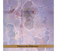 Zorn, John - Voices In The Wilderness