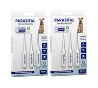 Parasital Pipetas Antiparasitarias para Perros Medianos de 10 a 25 kg - Pack de 6x2,5ml de Zotal - Activo Contra Leishmaniasis y demás Mosquitos, Pulgas y Garrapatas - Repelente 100% Natural