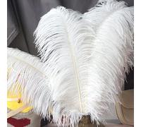 ZOTEXA De Plumas de Avestruz Grandes de 15-60cm, Plumas de Avestruz Blancas, centros de Mesa de Carnaval, Accesorios de decoración para Fiestas y Bodas