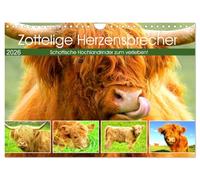 Zottelige Herzensbrecher. Schottische Hochlandrinder zum Verlieben (Wandkalender 2026 DIN A4 quer), CALVENDO Monatskalender: Die robusten und genügsamen Schönheiten aus Schottland