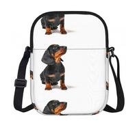 Zouey Bolso bandolera de poliéster con estampado de un adorable cachorro de perro salchicha sentado, bolso cruzado con cremallera para mujer.