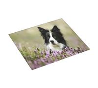 Zouey Border Collie Césped Negro Border Collie Mascotas, Escurridor de Platos, Tapete para Fregadero de Cocina, Tapete Absorbente para Secar Platos, 41x46 cm