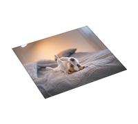 Zouey Lindo Perrito Jack Russell Terrier, escurridor de Platos para encimera de Cocina, Absorbente, 41 x 46 cm