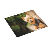 Zouey Yorkshire Terrier Bokeh - Alfombrilla para secar Platos, Absorbente, para Fregadero de Cocina, 41 x 46 cm