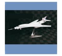 ZOUSANG Decorate Airplane Modelo de avión de Combate de ala barrida Variable, 30CM, 1/144, for USAF B-1B B1B, Bombardero estratégico de Largo Alcance, lanceros for Collection or Gift(Color:A)