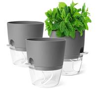 Zouway Set de 3 Macetas - Macetas Autorriego para Hierbas de Cocina - Macetas de 18,2x15,3x11cm Ideales para Plantas de Interior