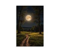 ZOZO HOUSE Dirt Path in The Field at Night - Cuadro de 30 x 45 cm (30 x 45 cm)