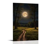 ZOZO HOUSE Dirt Path in The Field at Night Salón 24 x 36 pulgadas (60 x 90 cm)
