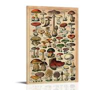 ZOZO HOUSE Introduction of Various Mushrooms Salón 16x24inch (40x60cm)