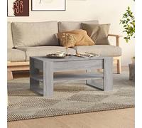 ZQQLVOO Mesa de Centro Moderna con Estante de Almacenamiento, Madera ContraChapada Resistente y Superficie Lisa, Ideal para Sala de Estar y Organización del Hogar