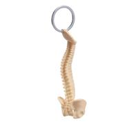 Zqxnt Llavero realista de esqueleto de columna vertebral humana para uso diario y exhibición de anatomía, ayuda de enseñanza única para estudiantes de medicina, herramienta de enseñanza