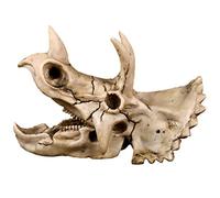 Zqxnt Triceratops - Resina de calavera de dinosaurio para esqueleto, modelo de enseñanza de hallo, ayuda canina, vértebras lumbares, coxis, modelo de anatomía, estudio de investigación veterinaria