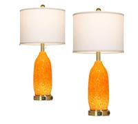 ZR98US 2-Pack USB Charging Coastal Desk Lamp with Touch Night Light, Dimmable, Warm White
