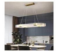 ZR98US Acrylic Shade Ceiling Aluminum Gloss Body Oval Ring Pendant Dining Room Bedroom Indoor Pendants, Chandelier