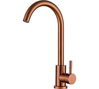 ZR98US Faucet Double Faucet Kitchen Stainless Steel Double Output Faucet Cold Kitchen Accessories (Color : One Size