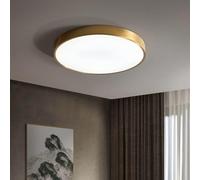 ZR98US Lamp Compatible with Living Bedroom Home Study Room Kitchen Black Luster Remote Dimming, Chandelier