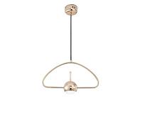 ZR98US Nordic Iron Acrylic Chandelier Lamp Home Decoration Ceiling Hanging Light Living Bedroom Study Children's Room Fixture Device/Color/Diameter: 40Cm