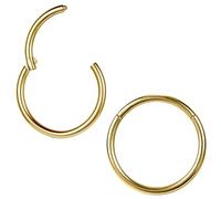 ZS 2 aretes de titanio ASTM F136 de 6/7/8/9/10/12/14 mm para cartílago, tragus, hélice, 20G, 18G, 16G, anillos de nariz, piercing para tabique y caracola, joyería, Inner diameter:7mm, Metal Acero