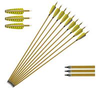 ZSHJG 12pcs Flechas de Carbono 30 Pulgadas Tiro al Arco Flechas de Caza Spine 450 con la Pluma de la Naturaleza para Arco Recurvo y Arco Compuesto Flechas para Caza o Práctica