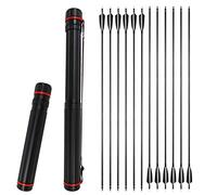 ZSHJG 12pcs Flechas de Carbono 34 Pulgadas Tiro al Arco Flechas de Caza Spine 500 con Flecha Carcaj para Arco Recurvo y Arco Compuesto (Flecha + carcaj)