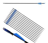 ZSHJG 12pcs Flechas de Fibra de Vidrio de Tiro Con Arco de 31 Pulgadas Spine 900 Para Caza Con Carcaj - Compuesto Recorvar Arco (Azul)