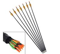 ZSHJG 12pcs Flechas de Tiro con Arco de Niños 29 Pulgadas Fibra de Vidrio Juvenil Flechas de Caza Práctica de Tiro para Niños Flechas de Disparos (Naranja)