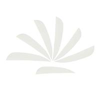 ZSHJG 50 pcs Plumas de Flecha 3 Pulgadas Natural Fletches Turquía Fletching ala Derecha para Bricolaje Flechas de Carbono (Blanco)