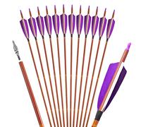 ZSHJGJR 12 dardos de carbono de 32 pulgadas para tiro con arco, plumas naturales, arco largo o arcos compuestos, dardos de carbono con intercambiables (morado)