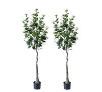 Zstar 150 cm Árbol de Camelia Artificial, 2 Unidades Grandes Plantas Artificiales de Camelia en Maceta con Flores para decoración de Interiores, Plantas Grandes realistas, decoración para el hogar,