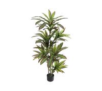 Zstar Planta Artificial de dragón, 150 cm, Grande, Planta Artificial Tropical en Color Blanco, Maceta con Ramas y Hojas Ajustables, Plantas Artificiales de Dracaena Grande, decoración para salón,