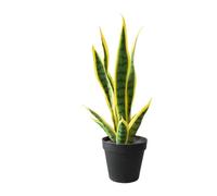 Zstar Planta Artificial Sansevieria, 40 cm, Planta de Serpiente Artificial en Maceta, Planta de Interior Tropical, Plantas Artificiales Grandes, decoración para el hogar, salón, Dormitorio, Oficina,