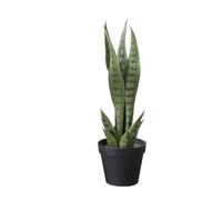 Zstar Planta Artificial Sansevieria, 40 cm, Planta de Serpiente Artificial en Maceta, Planta de Interior Tropical, Plantas Artificiales Grandes, decoración para el hogar, salón, Dormitorio, Oficina,