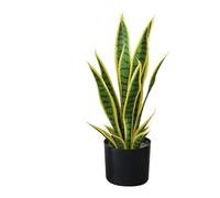 Zstar Planta Artificial Sansevieria, 50 cm, Planta de Serpiente Artificial en Maceta, Planta de Interior Tropical, Plantas Artificiales Grandes, decoración para el hogar, salón, Dormitorio, Oficina,