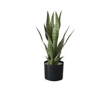 Zstar Planta Artificial Sansevieria, 50 cm, Planta de Serpiente Artificial en Maceta, Planta de Interior Tropical, Plantas Artificiales Grandes, decoración para el hogar, salón, Dormitorio, Oficina,