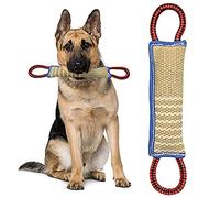 ZSWQ Mordedor Perro Juguete para Perros - K9 Dummy y Motivador Canino Resistente y Duradero - Juguete para Perros de Entrenamiento 30x7x5 cm