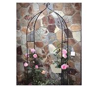 ZTCHSENZT Árbol de jardín de warch para plantas trepadoras, decoración de fiesta nupcial, enrejado de arco de rosas de metal, resistente a la intemperie, 80 x 205 x 30 cm, arco de jardín, blanco
