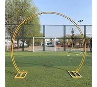 ZTCHSENZT Arco de globo de fondo de metal, arco de jardín extraíble, para interiores y exteriores, decoración de fiestas, fácil montaje/dorado/240 x 200 cm, dorado-260 x 220 cm
