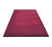 Zteiuqx Alfombra Engrosamiento Coral Terciopelo, Antideslizante Alfombra Manta de rastreo para niños, Alfombras de Tatami, Alfombra para Gatear para Bebé, 3cm Alfombra para el Hogar